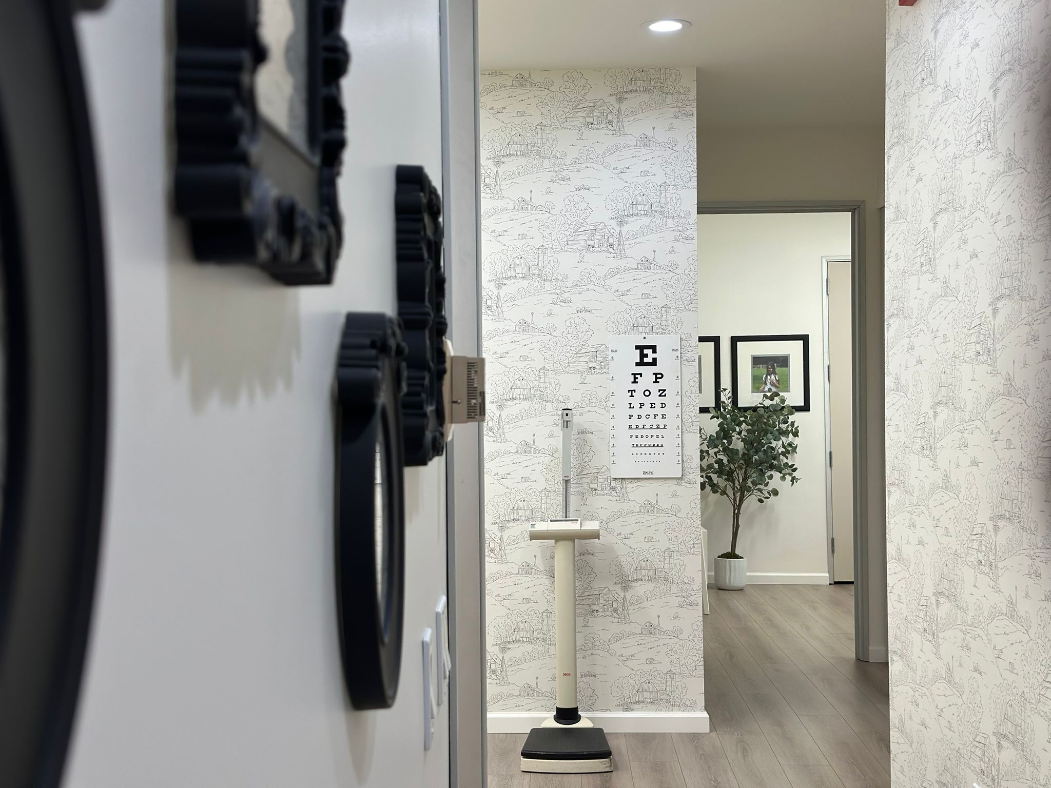 Safe and stress free environment at Beverly Hills Pediatrician office